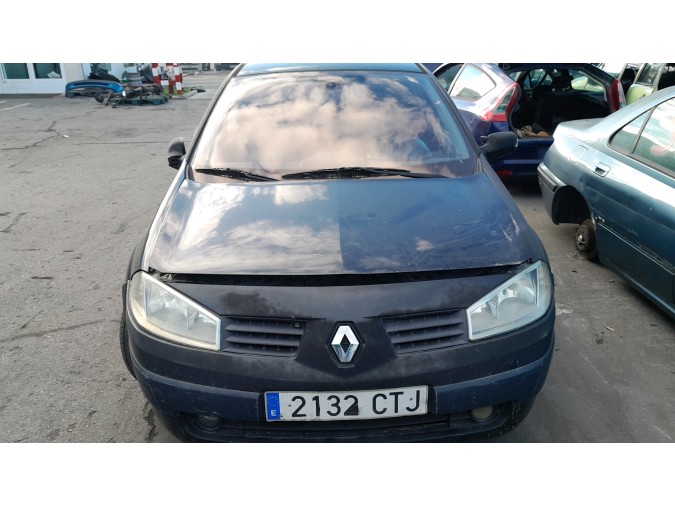 MANDO ELEVALUNAS TRASERO IZQUIERDO RENAULT MÉGANE 2004
