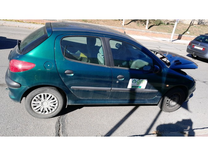 ELEVALUNAS TRASERO DERECHO PEUGEOT 206 1999