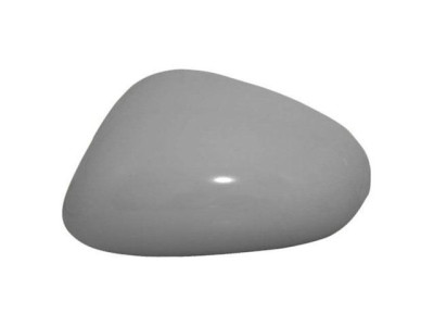 CARCASA RETROVISOR IZQUIERDO Seat Leon II (05-09). 41854321