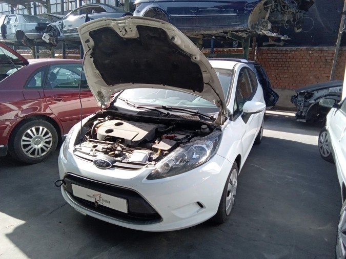 GATO-SO FORD FIESTA 2010