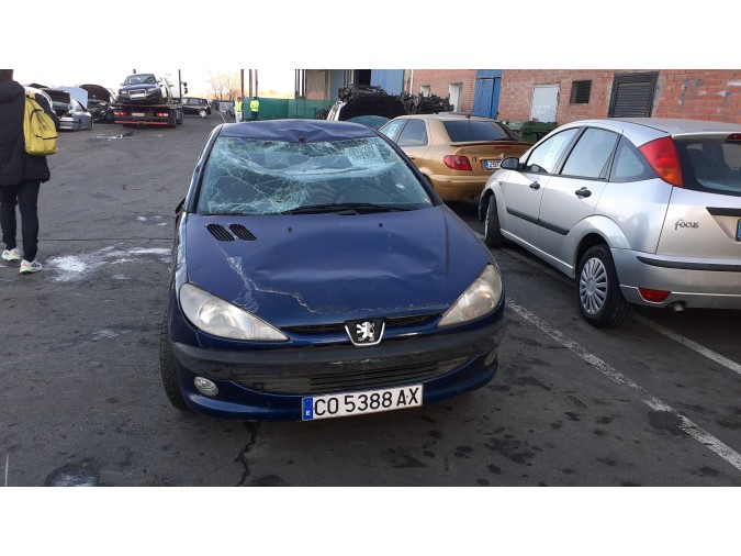 ELEVALUNAS TRASERO DERECHO PEUGEOT 206 2000