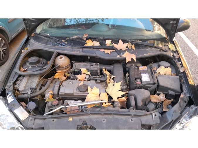 TAPA GUANTERA PEUGEOT 206 2006