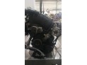 MOTOR CON ACCESORIOS Y CAJA DE CAMBIOS SKODA OCTAVIA 1999