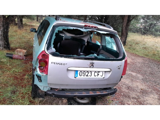 PUENTE TRASERO PEUGEOT 307 2003