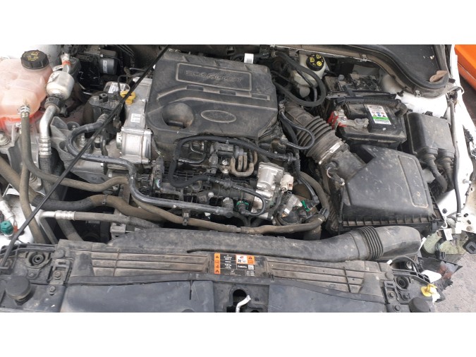 CINTURON SEG.TR.CEN. FORD FOCUS 2019