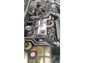 ELEVALUNAS TRASERO DERECHO FORD FOCUS 2004