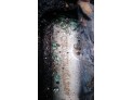 ELEVALUNAS TRASERO DERECHO FORD FOCUS C-MAX 2005