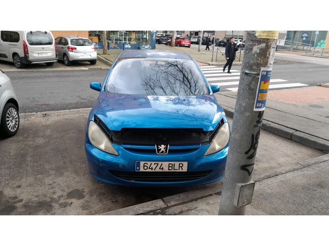 PORTON TRASERO PEUGEOT 307 2001