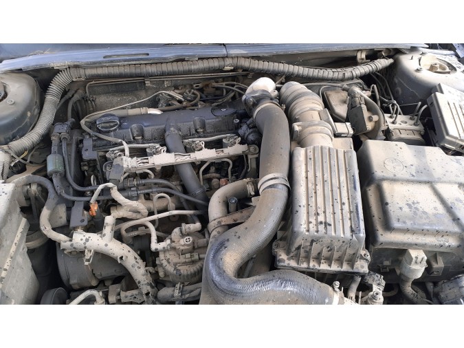 MANGUETA TRASERA IZQUIERDA PEUGEOT 406 2002