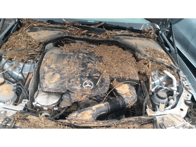 MERCEDES CLE 220 D