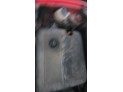PILOTO TRASERO DERECHO INTERIOR SEAT IBIZA 2003
