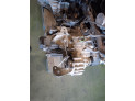 CAJA CAMBIOS SEAT IBIZA 2001