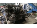 Motor FORD FOCUS 2001