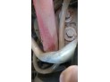ELEVALUNAS TRASERO DERECHO RENAULT SCÉNIC 2005