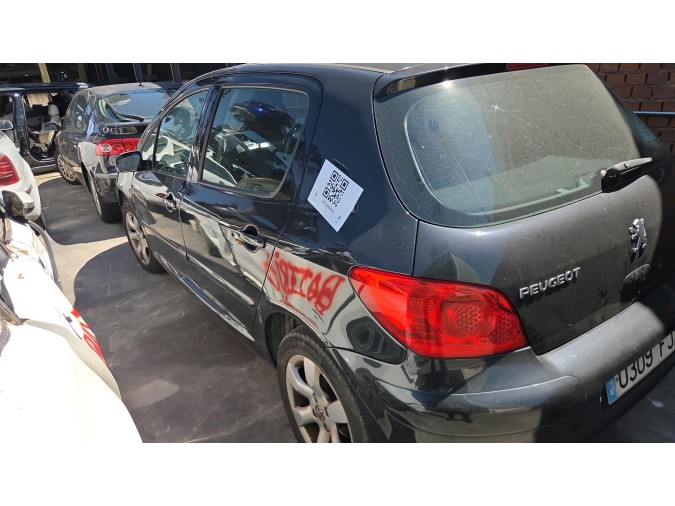 CATALIZADOR PEUGEOT 307 2006