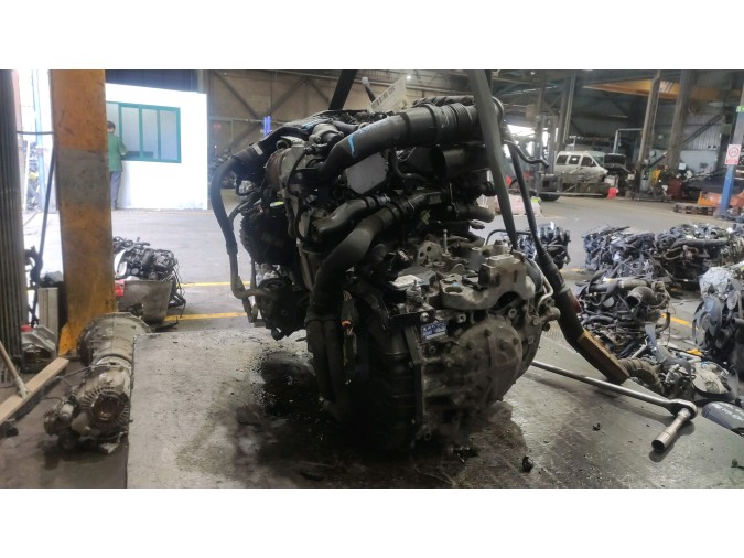 Motor  2019
