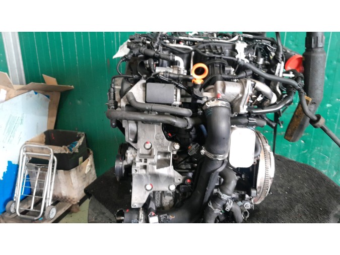 MOTOR  2011