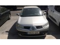 PORTON TRASERO RENAULT MÉGANE 2004