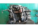 Alternador FORD FOCUS 2006