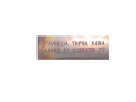 CATALIZADOR  CITROEN C4 PICASSO 2007