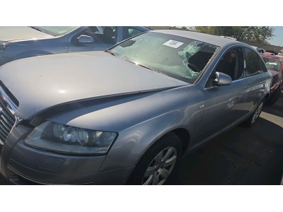PILOTO TRASERO CENTRAL AUDI A6 2005