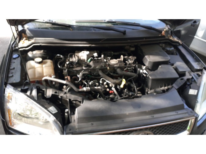 MANGUETA TRASERA DERECHA FORD FOCUS 2006
