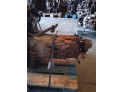 CAJA CAMBIOS BMW SERIE 5 2000