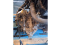 CAJA CAMBIOS ROVER 75 2005