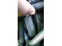 AMORTIGUADOR TRASERO IZQUIERDO RENAULT SCÉNIC 2005