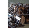 MOTOR FIAT STILO 2003