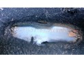 MANDO ELEVALUNAS DELANTERO DERECHO FORD KA 2005