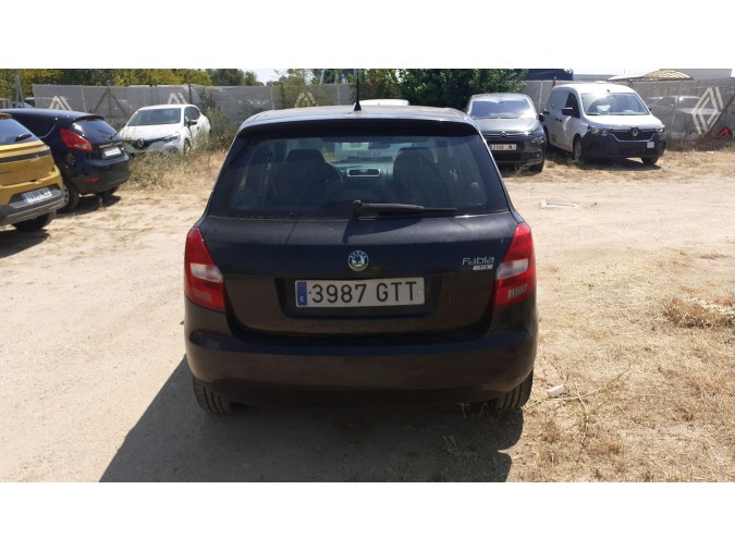CATALIZADOR SO SKODA FABIA 2010