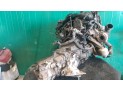 Compresor completo a/c VOLKSWAGEN PASSAT 2002