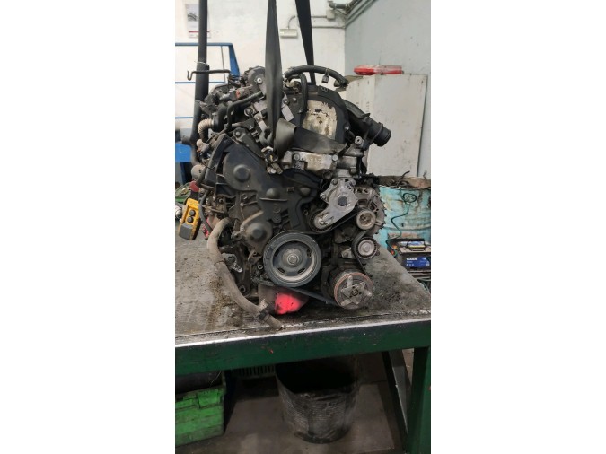 Motor  5008 2016