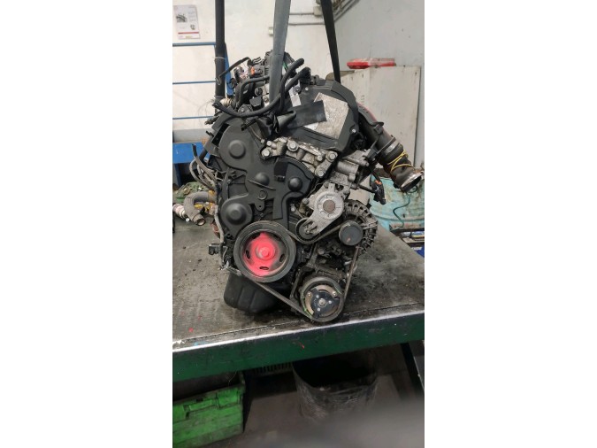 Motor  208 2017