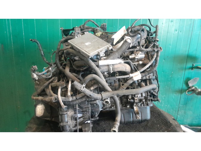 Motor FORD FOCUS 2011