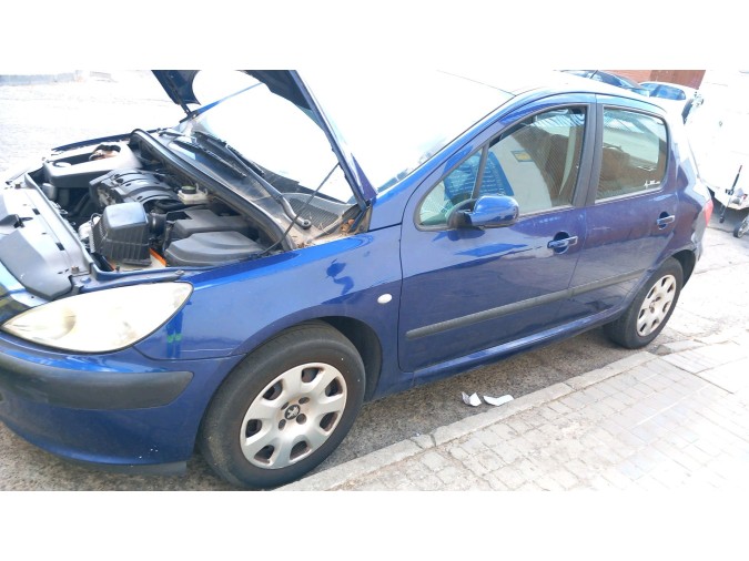 MECANICA TRASERA	 PEUGEOT 307 2002