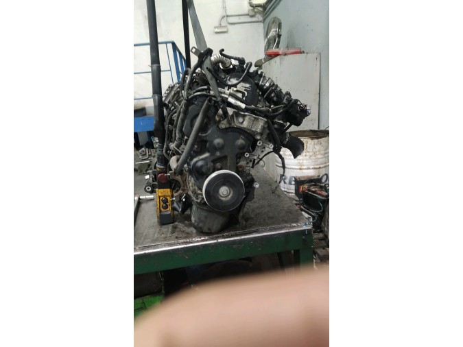 Motor FORD FOCUS 2008