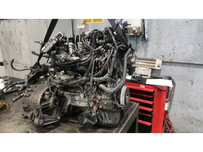 Motor FORD FOCUS 2008