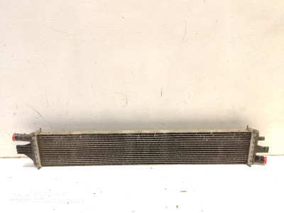 Radiador de Agua RENAULT MASTER 2013