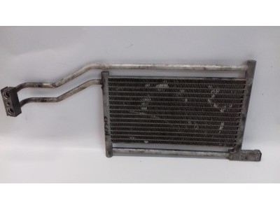SPRAY HIGIENIZANTE BG RENAULT LAGUNA 1997