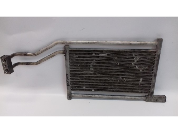 SPRAY HIGIENIZANTE BG RENAULT LAGUNA 1997