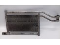 SPRAY HIGIENIZANTE BG RENAULT LAGUNA 1997