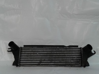 Intercooler RENAULT KANGOO 2002