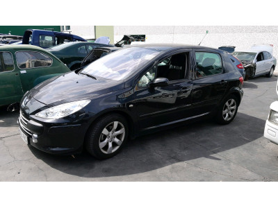 REJILLA PARAGOLPES DELANTERO PEUGEOT 307 2007