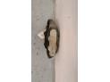 PINZA DI ALFA ROMEO 159 2008