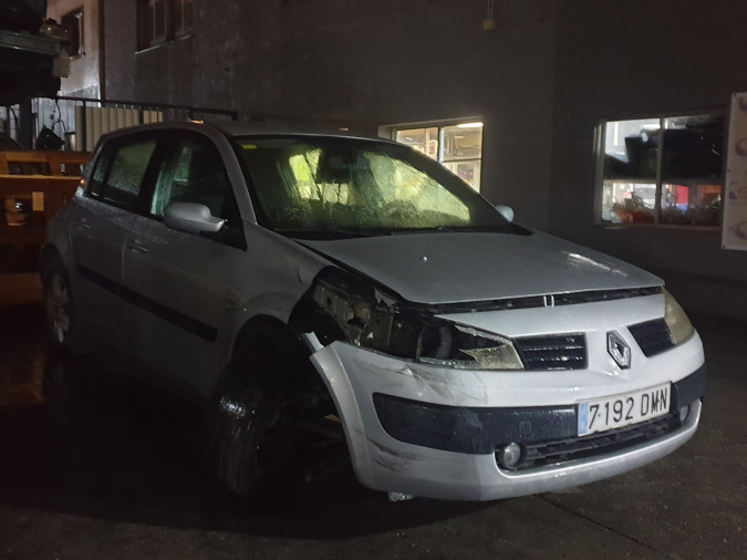 RENAULT MÉGANE Año : 2005
