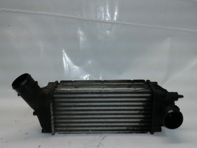 Intercooler PEUGEOT 307 2004