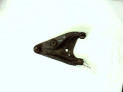 BRAZO SUSPENSION INFERIOR DELANTERO DERECHO DACIA DOKKER 2013