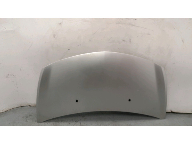 CAPOT RENAULT CLIO GRIS 2005
